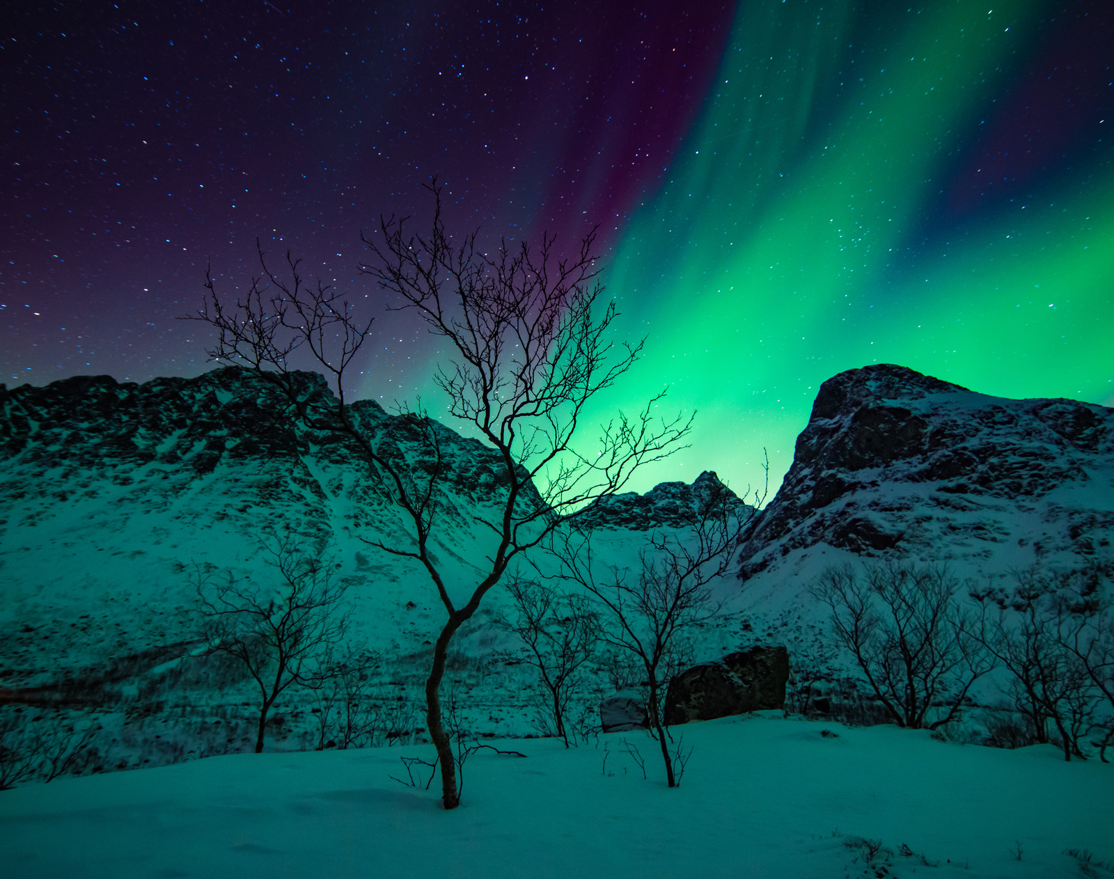 Unlock Scandinavia: Best Locations, When to Visit and Travel Insights