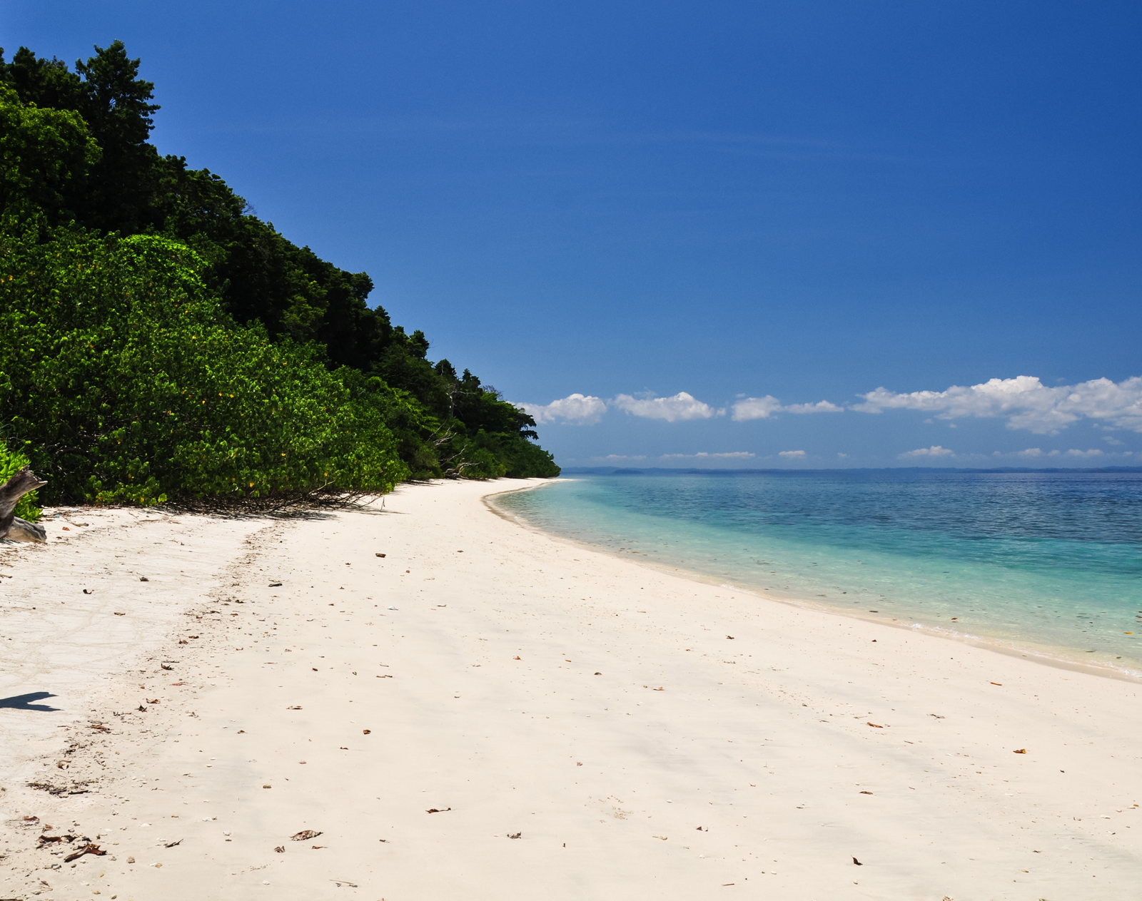 Beyond the Mainland: Experiencing the Magic of Andaman and Nicobar Islands